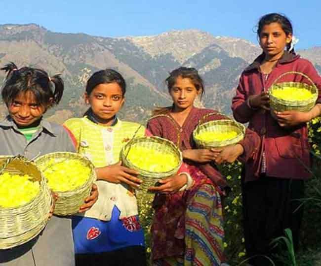देवभूमि में लोक संस्कृति का त्योहार फूलदेई आज, जानें इससे जुड़ी परंपराएं और मान्यताएं