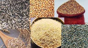 मोटे अनाजों को बढ़ावा देने के लिए पहली बार मसूरी में किया जा रहा तीन दिवसीय राष्ट्रीय सम्मेलन का आयोजन