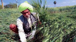 किसानों को मोदी सरकार का बड़ा तोहफा : खाद के दाम नहीं बढ़ाएगी सरकार, 38,000 करोड़ रुपये की सब्सिडी को मंजूरी