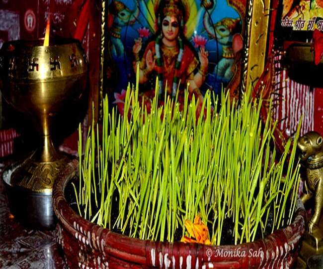 आज प्रदेशभर में मनाया जा रहा हरियाली, शांति और समृद्धि का प्रतीक हरेला पर्व, घर- घर में पूजन के बाद किया जाएगा पौधारोपण