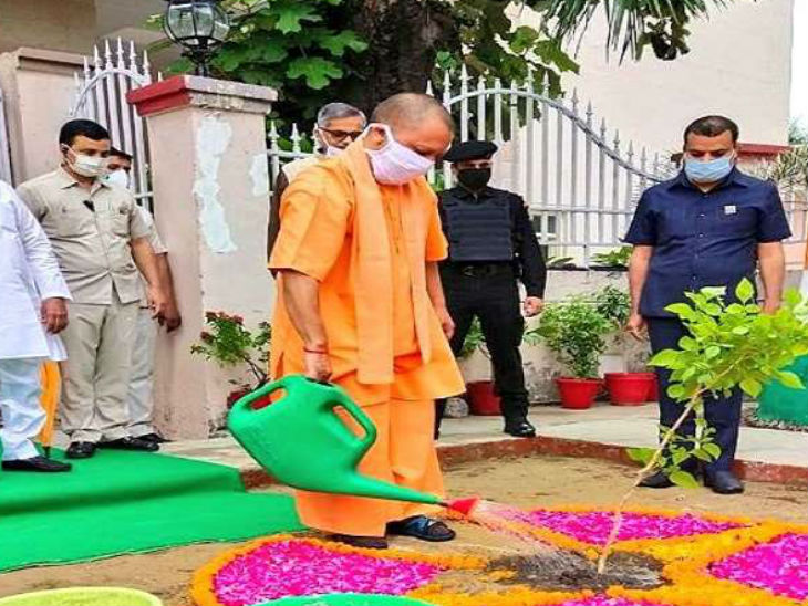 35 करोड़ पौधे लगाकर प्रदेश को हरा-भरा बनाएगी योगी सरकार, विभिन्न जनपदों में होंगे पौधरोपण