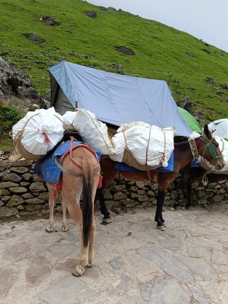 प्रधानमंत्री नरेंद्र मोदी के स्वच्छ भारत मिशन योजना को सफल बनाने के लिए केदारनाथ धाम में निरन्तर की जा रही है बेहतर साफ-सफाई व्यवस्था