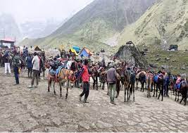 चारधाम यात्रा में अब घोड़ों और खच्चरों का यात्रा शुरू करने से पहले होगा स्वास्थ्य परीक्षण