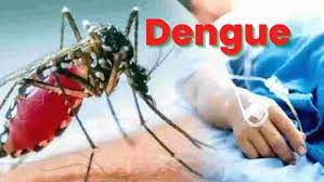 CM धामी के दिशा निर्देशों पर डेंगू रोकथाम के लिए अगले 4 दिन चलेगा महाअभियान