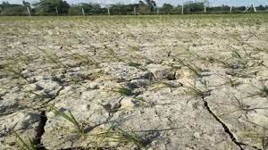 प्रदेश में बारिश-बर्फबारी न होने से सेब पर सूखे की मार, किसान हो रहे परेशान, पर्यटक मायूस