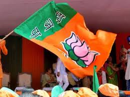 पंजाब की सभी 13 सीटों पर अकेले चुनाव लड़ेगी बीजेपी