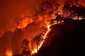 उत्तराखंड के जंगलों में आग का तांडव, वन विभाग में हड़कंप