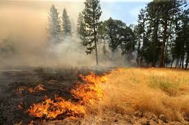 तेज हवा के कारण बेकाबू हुई आग, DM-SSP आवास तक पहुंची आग तो मच गया हड़कंप