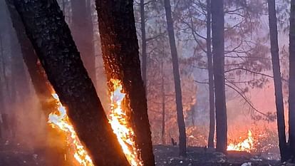 केंद्र ने वन अग्नि प्रबंधन के लिए 100 करोड़ रूपये किए मंजूर