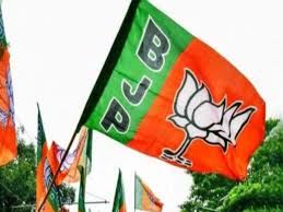 लोकसभा चुनाव में जीत के बावजूद भाजपा के लिए झटका