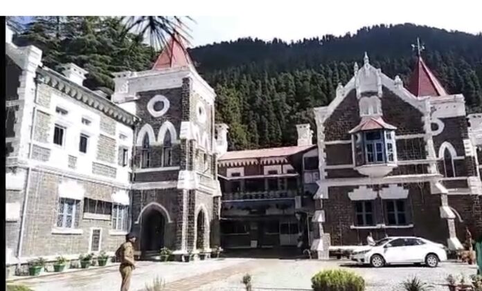 लकड़ी व्यापार घोटाले के मास्टरमाइंड को HC से झटका, लकड़ी व्यापार घोटाले के मास्टरमाइंड की जमानत नामंजूर