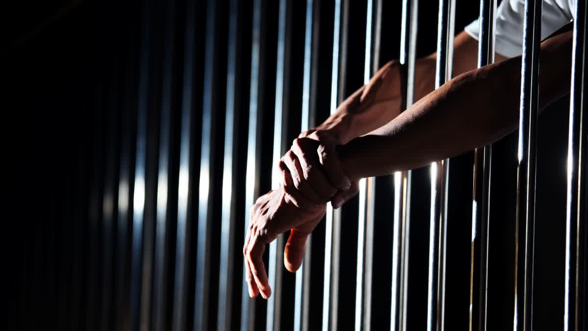 पुंछ जिले में दहशतगर्दों की बड़ी साजिश नाकाम, LoC में घुसपैठ की कोशिश कर रहा गाइड गिरफ्तार