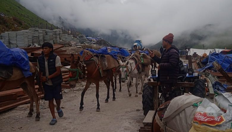 घोड़े- खच्चरों की आवाजाही के लिए खुला केदारनाथ मार्ग