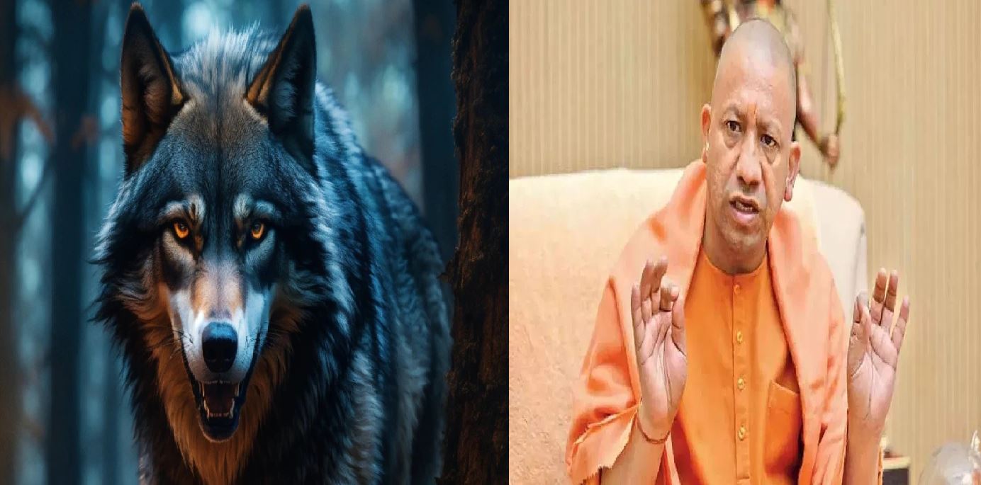 हर हाल में पकड़ने का करें प्रयास…लोगों को करें जागरुक,भेड़िये के हमले पर CM योगी का निर्देश