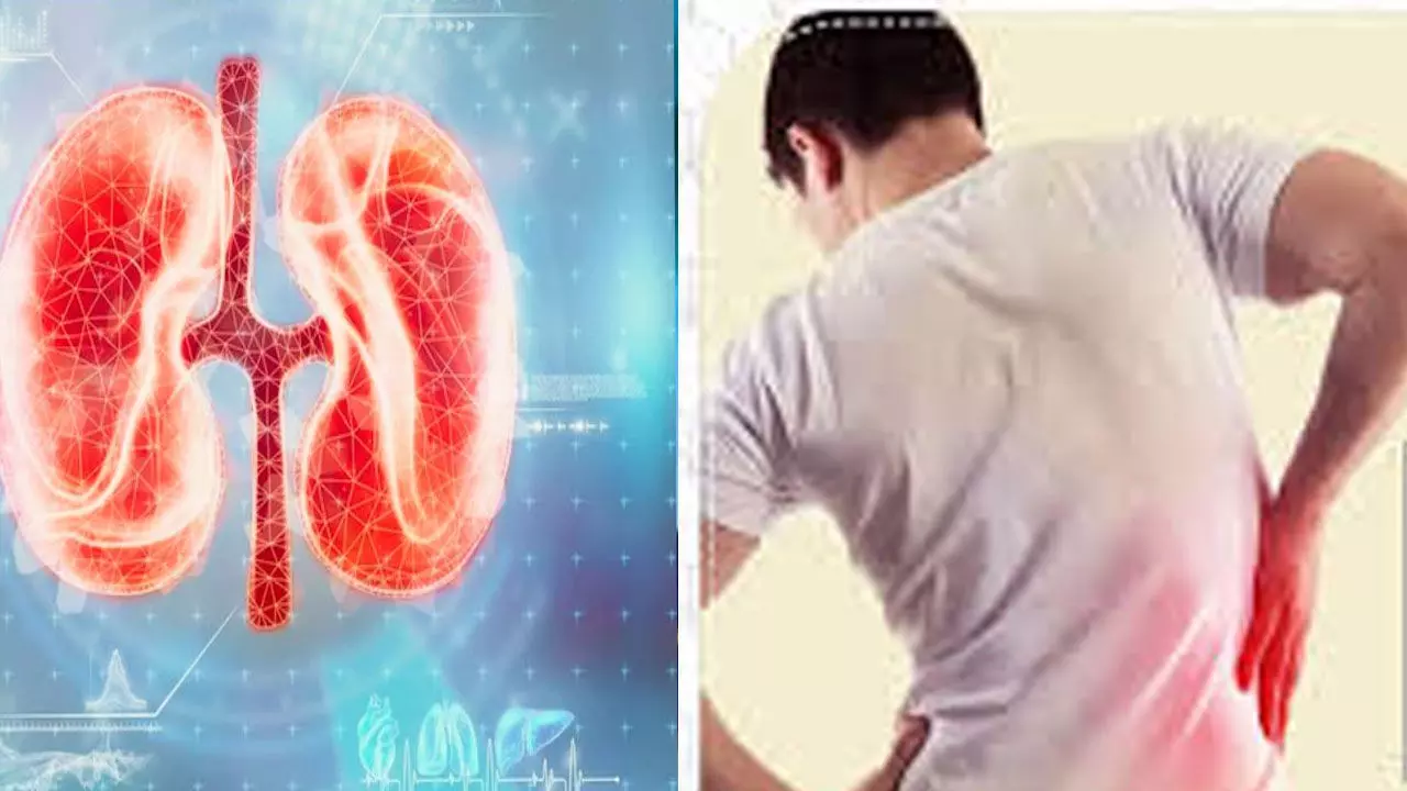 अगर आपको भी मिल रहे संकेत तो समझ जाएं किडनी को है खतरा, समय रहते हो जाएं सावधान