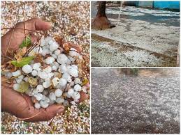 प्रदेश के कई स्थानों पर तेज गर्जन के साथ बारिश और ओलावृष्टि होने की संभावना