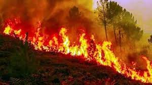उत्तराखंड में जंगल की आग ने तीन परिवारों के घरों को कर दिया तबाह मकानों में लगी आग, लाखों का नुकसान