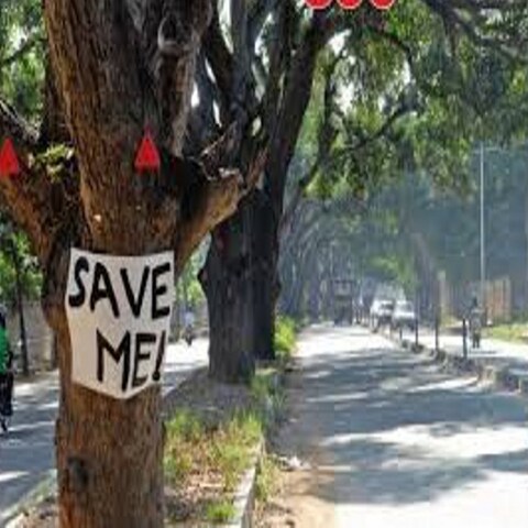 मार्ग चौड़ीकरण के नाम पर करीब 3300 पेड़ों को काटने के विरोध में सड़क पर उतरे पर्यावरण प्रेमी