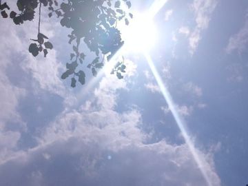 चिलचिलाती धूप अब नहीं हो पा रही सहन, लोग लेने लगे पंखे और कूलर का सहारा