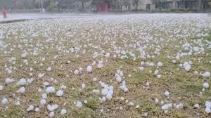 पहाड़ी क्षेत्रों में बारिश और ओलावृष्टि ने जमकर मचाई तबाही, फल और खड़ी फसलें हुई बर्बाद