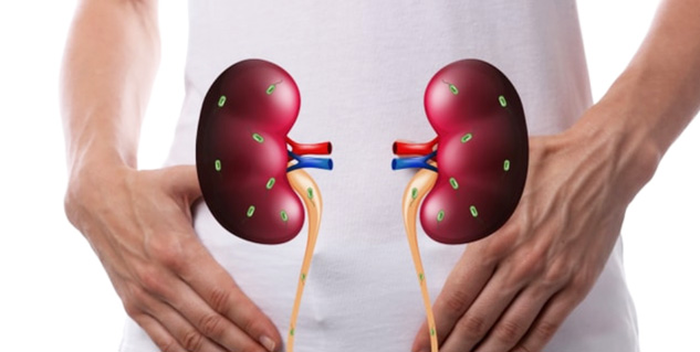 कहीं आप भी तो नहीं कर रहे अपने खानपान में यह गलतियां, बढ़ सकता है किडनी डैमेज का खतरा