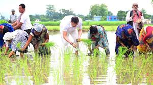 सीएम धामी ने खटीमा में की धान रोपाई, किसानों के श्रम को किया नमन